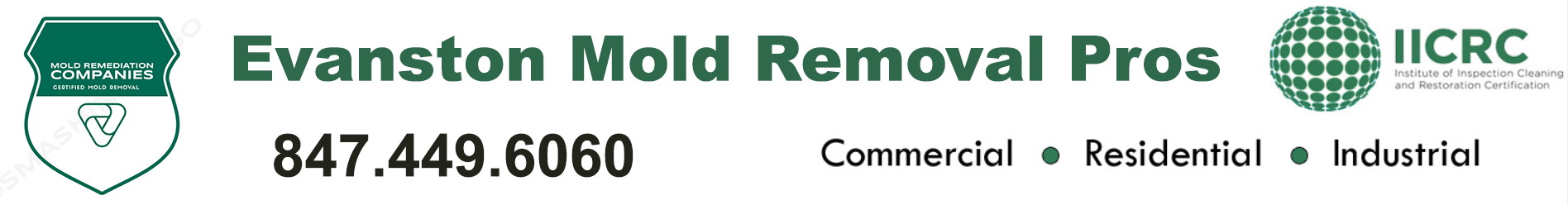 Evanston Mold Removal Pros