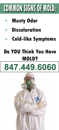 Evanston Mold Remediation Contractor